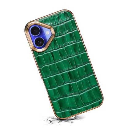 For iPhone 16 Denior Crocodile Texture Genuine Leather Electroplating Phone Case(Green) - More iPhone Cases by Denior | Online Shopping UK | buy2fix