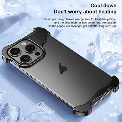 For iPhone 12 Pro Max Aromatherapy Alloy Frameless Phone Case(Black) - iPhone 12 Pro Max Cases by buy2fix | Online Shopping UK | buy2fix