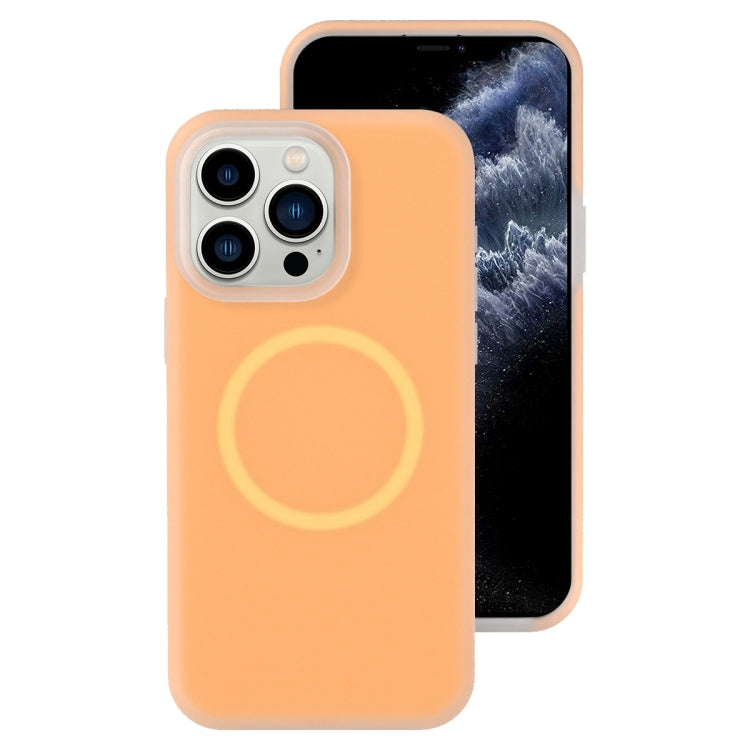 For iPhone 11 Pro Jelly Liquid Silicone MagSafe Magnetic Phone Case(Orange) - iPhone 11 Pro Cases by buy2fix | Online Shopping UK | buy2fix