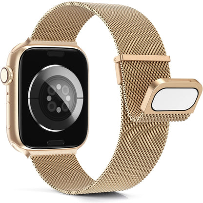 For Apple Watch 3 38mm Milan Double Magnetic Steel Mesh Watch Band(Rose Gold) - Watch Bands by buy2fix | Online Shopping UK | buy2fix