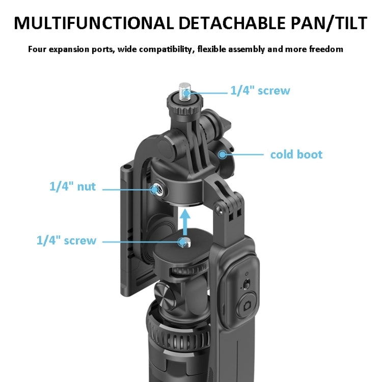 2m Metal Tripod Selfie Stick With 4 Expansion Interfaces & D07 Fill Light for Phone Camera - Selfie Sticks by buy2fix | Online Shopping UK | buy2fix