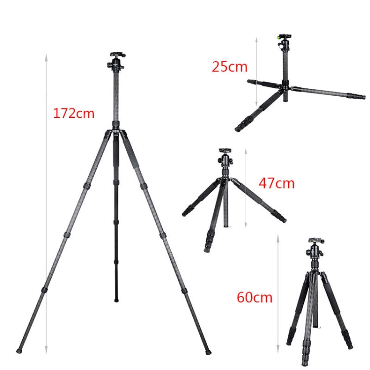 BEXIN W284C H36 Carbon Fiber Professional Photo Tripod for DSLR Camera - Tripods by BEXIN | Online Shopping UK | buy2fix