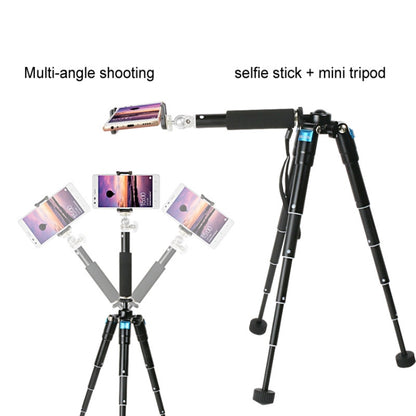 BEXIN MS15 Multifunctional Desktop Mini Camera Tripods for Camera Self-Timer Mobile Phone - Tripods by BEXIN | Online Shopping UK | buy2fix