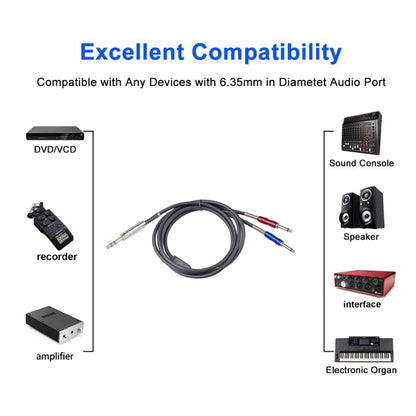 BLS0201-30 Stereo 6.35mm Male to Dual Mono 6.35mm Audio Cable, Length:3m - Consumer Electronics by buy2fix | Online Shopping UK | buy2fix