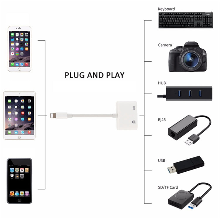 11cm 8 Pin Male to USB & 8 Pin Data Charging Cable Camera Reader Adapter, Support System above iOS 9.2 - Converter & Adapter by buy2fix | Online Shopping UK | buy2fix