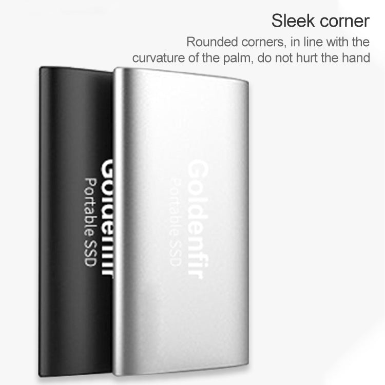 Goldenfir NGFF to Micro USB 3.0 Portable Solid State Drive, Capacity: 256GB(Silver) - Computer & Networking by Goldenfir | Online Shopping UK | buy2fix
