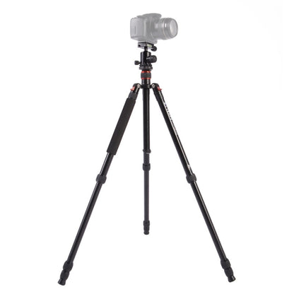 Triopo MT-2504C Adjustable Portable Aluminum Tripod (Gold) with NB-1S Ball Head (Black) for Canon Nikon Sony DSLR Camera - Tripods by TRIOPO | Online Shopping UK | buy2fix