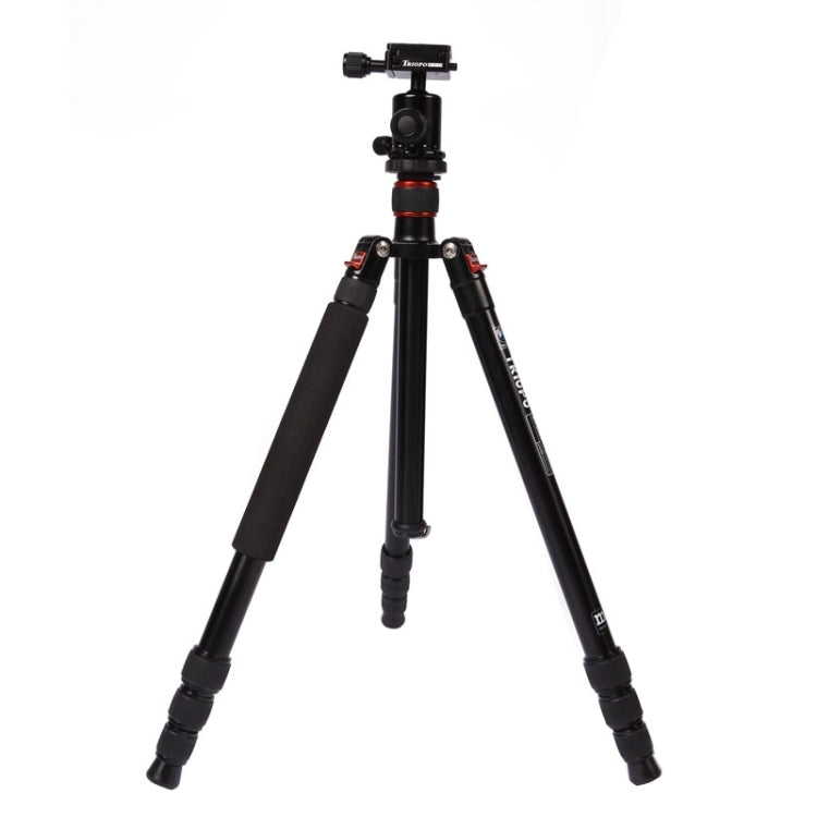 Triopo MT-2504C Adjustable Portable Aluminum Tripod (Gold) with NB-1S Ball Head (Black) for Canon Nikon Sony DSLR Camera - Tripods by TRIOPO | Online Shopping UK | buy2fix