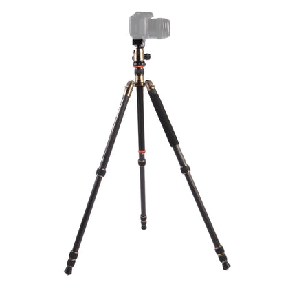 Triopo GT-2504X8.C Adjustable Portable Carbon Fiber Tripod with B-1 Aluminum Ball Head for Canon Nikon Sony DSLR Camera - Camera Accessories by TRIOPO | Online Shopping UK | buy2fix