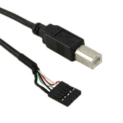 5 Pin Motherboard Female Header to USB 2.0 B Male Adapter Cable, Length: 50cm - USB Cable by buy2fix | Online Shopping UK | buy2fix