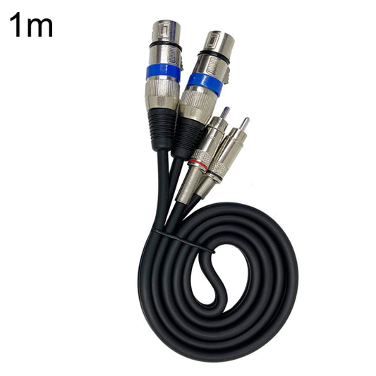 2RCA Male 2XLR Caron Female Speaker Audio Balance Cable, Length:1m - Microphone Audio Cable & Connector by buy2fix | Online Shopping UK | buy2fix