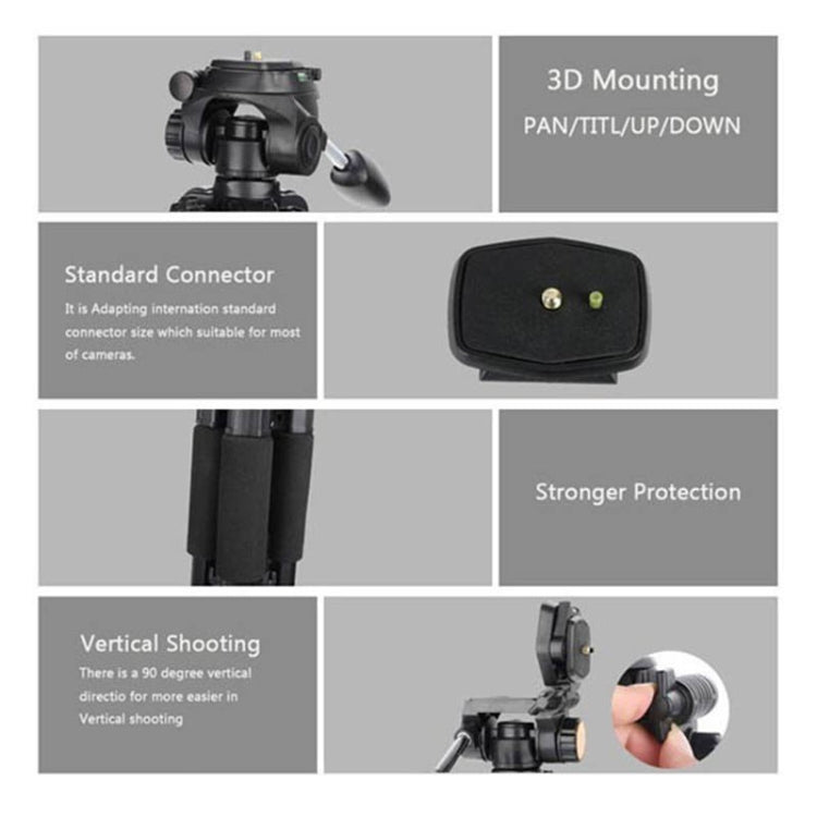 Q111 4-Section Folding Legs Live Broadcast Aluminum Alloy Tripod Mount with Three-dimensional Damping Tripod Heads(Black) - Camera Accessories by buy2fix | Online Shopping UK | buy2fix