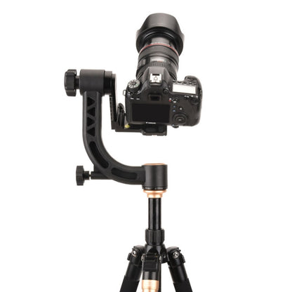 QingZhuangShiDai Q35 SLR Camera Telephoto Lens Bird Watching Tripod Head(Gold) - Tripod Heads by QingZhuangShiDai | Online Shopping UK | buy2fix