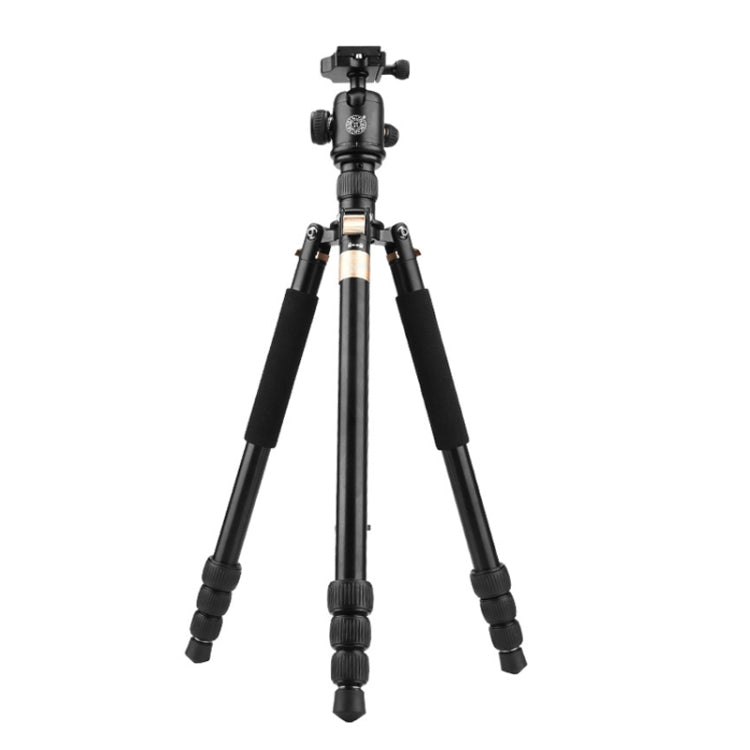 QingZhuangShiDai  Q999B Portable and Stable Photography SLR Digital Camera Tripod(Gold) - Tripods by QingZhuangShiDai | Online Shopping UK | buy2fix