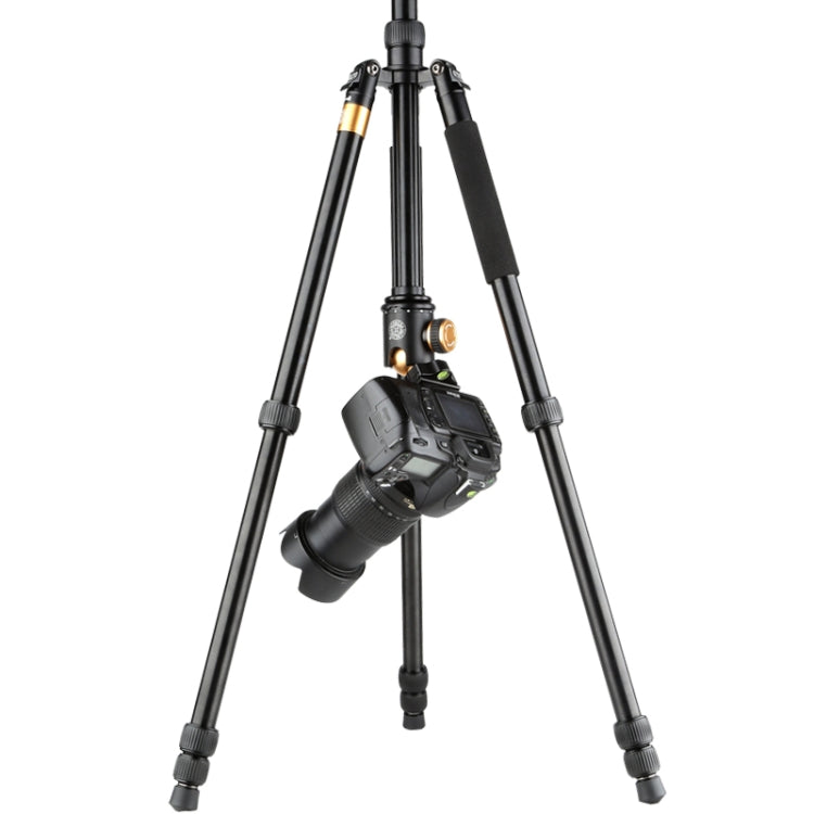 QingZhuangShiDai  Q999B Portable and Stable Photography SLR Digital Camera Tripod(Gold) - Tripods by QingZhuangShiDai | Online Shopping UK | buy2fix