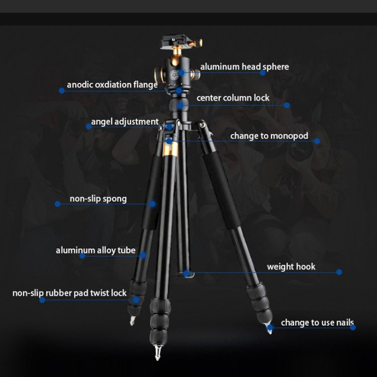 QingZhuangShiDai  Q999B Portable and Stable Photography SLR Digital Camera Tripod(Gold) - Tripods by QingZhuangShiDai | Online Shopping UK | buy2fix